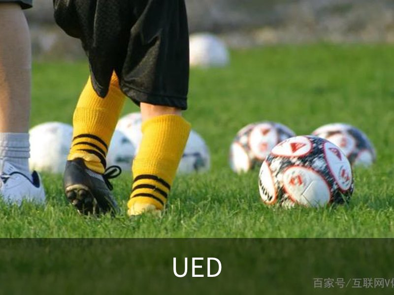 UED概况